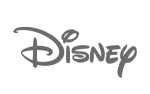 Disney GRAY